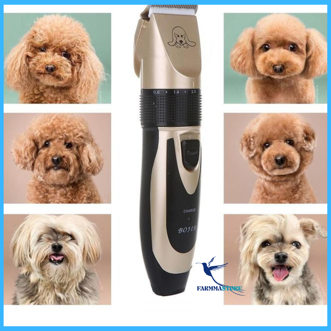 🌟 HappyFur™ — Pelaje sano y feliz